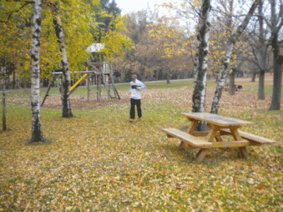 lockeres Laufen im Park.gif